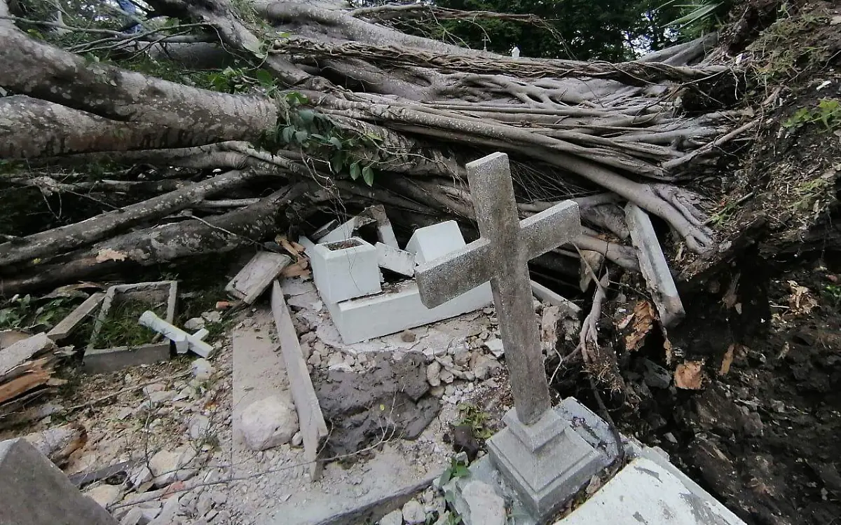 Un árbol cayó sobre 10 tumbas en el Cementerio Municipal de Tampico José Luis Tapia (3)